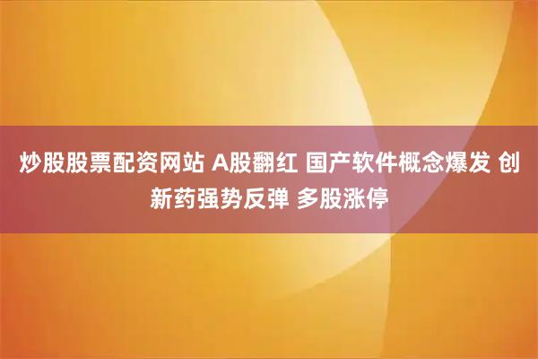 炒股股票配资网站 A股翻红 国产软件概念爆发 创新药强势反弹 多股涨停