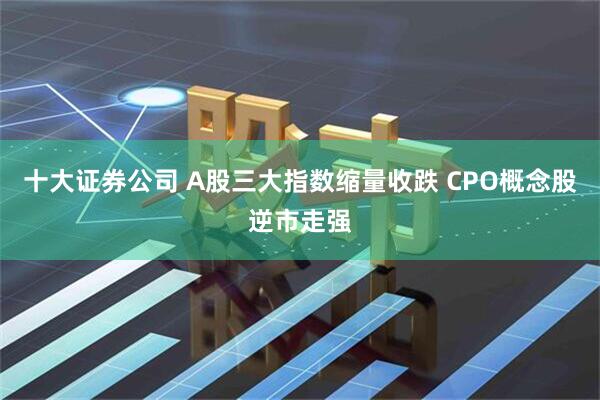 十大证券公司 A股三大指数缩量收跌 CPO概念股逆市走强