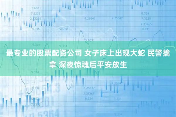 最专业的股票配资公司 女子床上出现大蛇 民警擒拿 深夜惊魂后平安放生