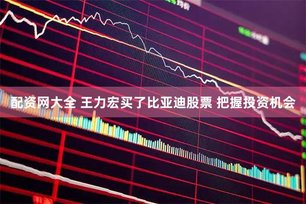 配资网大全 王力宏买了比亚迪股票 把握投资机会