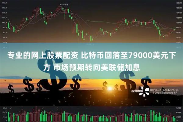 专业的网上股票配资 比特币回落至79000美元下方 市场预期转向美联储加息
